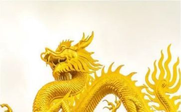 恐龙的教学反思优秀6篇