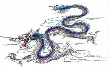 龙舟比赛活动方案5篇