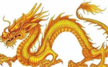 幼儿园大班龙的教案通用5篇