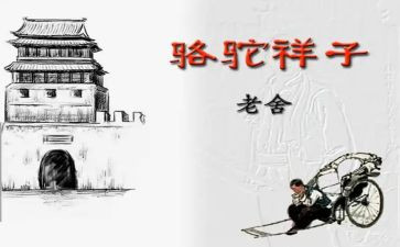 老舍骆驼心得体会8篇