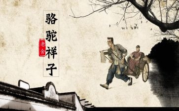 骆驼湾心得体会8篇