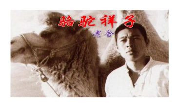 骆驼和样读后感优质6篇