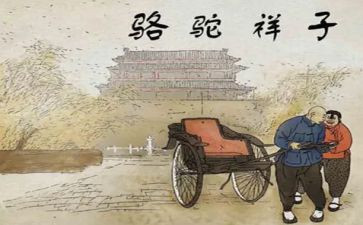 骆驼和样读后感最新5篇
