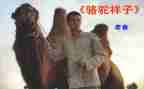 骆驼和样读后感精选6篇