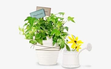 绿色节能演讲稿8篇