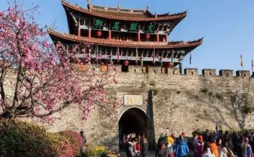 旅游业工作总结7篇