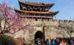 旅游业工作总结7篇
