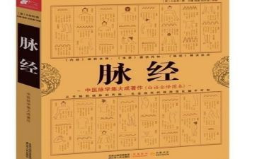脉经心得体会1000字优秀6篇