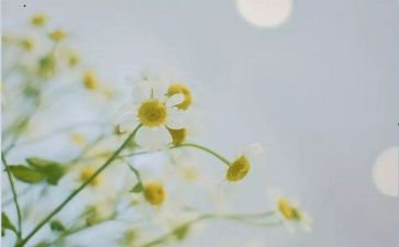 英语高考满分作文5篇