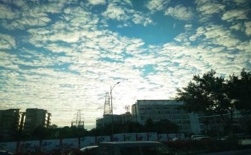 全国卷三高考满分作文最新7篇