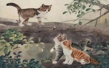 我要猫的作文400字8篇
