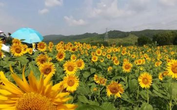 做最美幼师演讲稿7篇