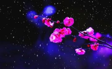 梅花桩教学反思参考7篇