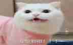 没想到的作文400字5篇
