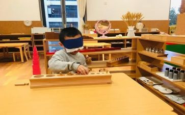 蒙氏教学心得体会精选5篇