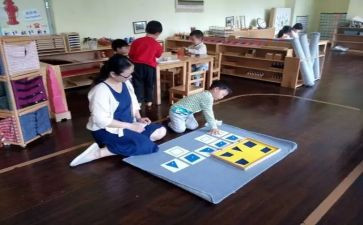 蒙氏幼儿园心得最新8篇