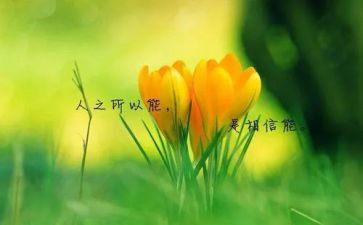 名人故事的演讲稿模板6篇