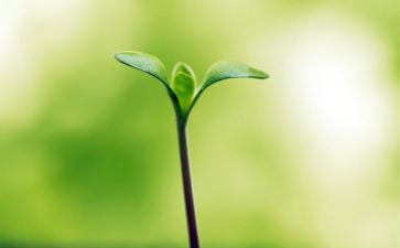 改变命运的观后感7篇