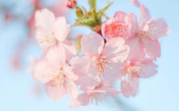 默默耕耘作文6篇