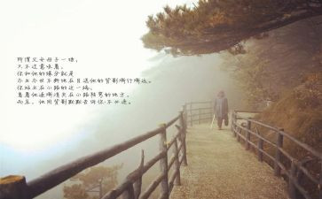 目送读后感8篇
