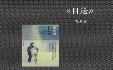 《目送》目送读后感模板8篇