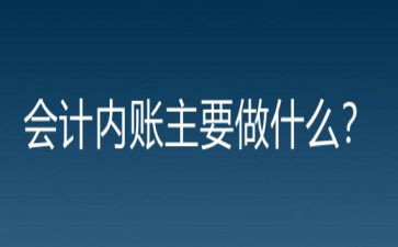 会计内账工作总结6篇