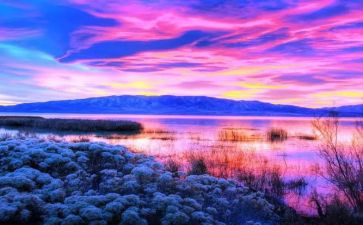 游嘉年华作文8篇