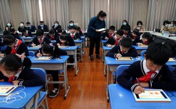小学二年级上学期工作总结优质6篇