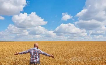 农夫与牛的读后感5篇