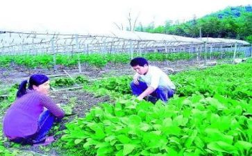农技人员心得体会8篇
