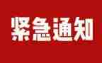 幼儿园排查工作总结7篇
