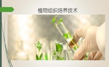 培养班主任工作计划6篇