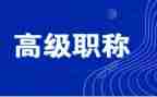 评高级职称的述职报告模板5篇