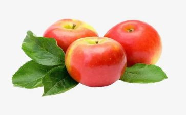 小班吃苹果音乐教案6篇