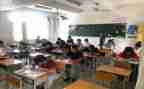 幼儿园个人期末总结精选7篇