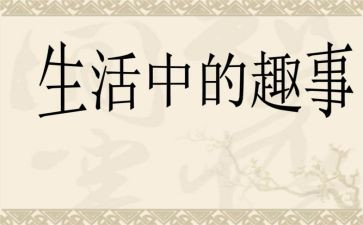 趣事作文500字模板5篇
