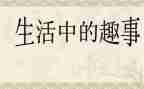 趣事作文500字模板5篇