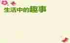 作文我的春节趣事作文5篇