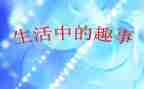 作文新年趣事500字5篇