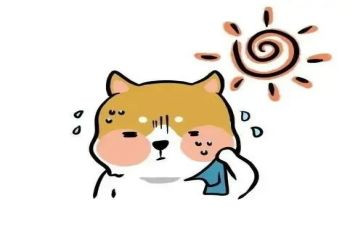 热力抢修员工述职报告8篇