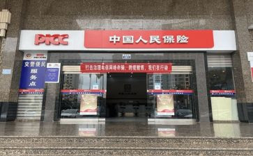 2024年个人保育工作总结精选7篇