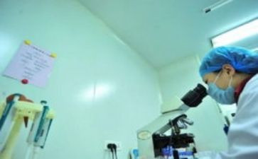 2024年幼儿园副园长个人工作总结6篇