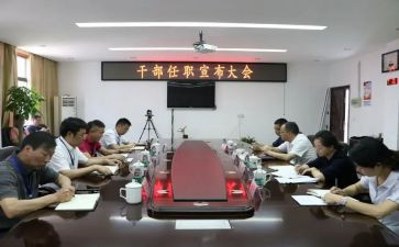 任职以来的专业工作总结6篇