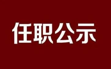 任职表态发言稿范文5篇