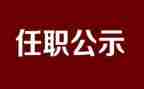 任职内专业技术工作总结5篇