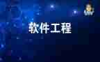 软件工程师的工作总结最新6篇