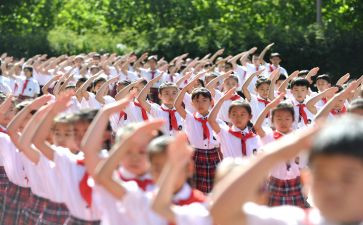 学入队申请书8篇