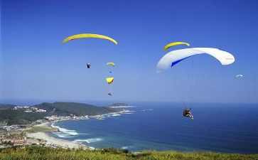 如果我能飞的教案6篇