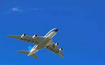 《如果我能飞》教案7篇