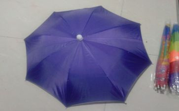 伞的分类教案反思5篇